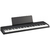 Korg B2N - comprar online