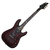 SGR by Schecter C-1