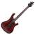 SGR by Schecter 006