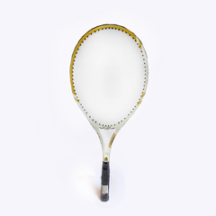 Raqueta Tenis Pro Ez Life 9883 Con Cuerda + Funda