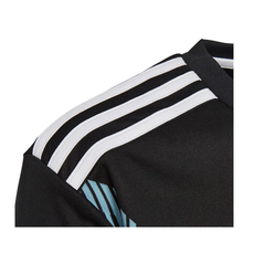 Imagen de Camiseta Selección Argentina Suplente Adidas - Adulto