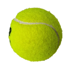 Pelota Padel Penn Pack X 10 Tenis Paddle Cemento Carpeta