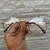 Óculos Redondo Unissex YR-6101 na internet