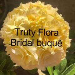 Rosa do deserto amarela enxertada múltiplas pétalas Bridal - comprar online