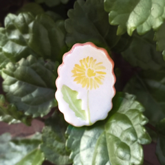 Prendedores / Broches de cerámica Silvestre