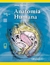 ANATOMIA HUMANA TOMO 2 (5º EDICION)