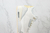 Air Jordan 3 Craft Ivory na internet
