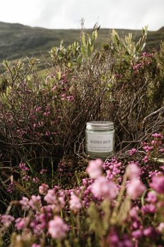 Sassenach Garden | Grass + Scottish heather + Ginger na internet