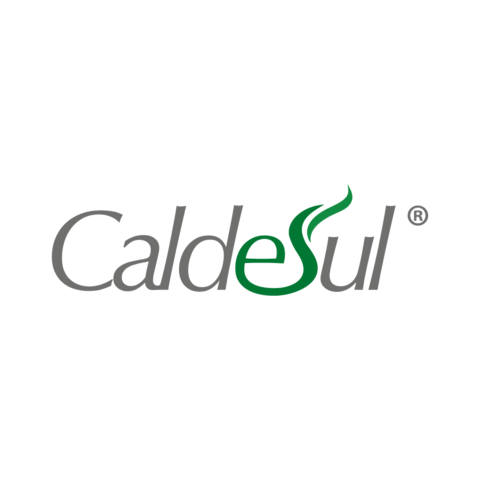 Caldesul