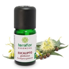 Óleo essencial de Eucalipto Globulus Terra Flor 10ml