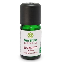 Óleo essencial de Eucalipto Radiata Terra Flor 10ml