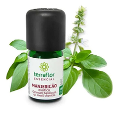 Óleo essencial de Manjericão Exótico Terra Flor 5ml