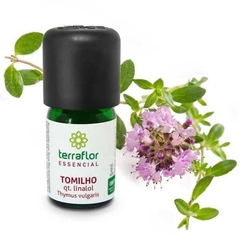 Óleo essencial de Tomilho Qt. Timol Terra Flor 5ml