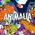 Animalia - Color Block