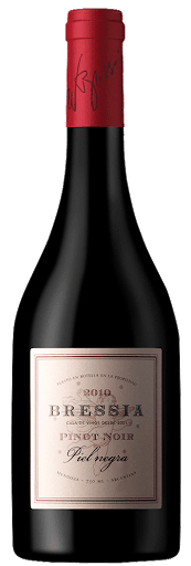 Bressia Piel Negra Pinot Noir x 750c.c. 2018