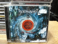 Borknagar - The Archaic Course