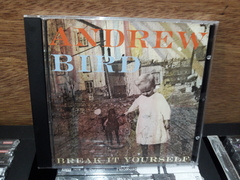 Andrew Bird - Break It Yourself