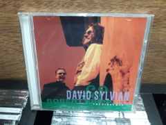 David Sylvian Robert Fripp - The First Day