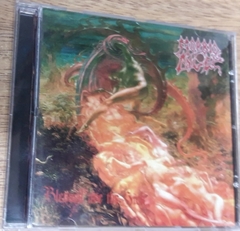 Morbid Angel - Blessed Are The Sick