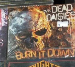 The Dead Daisies - Burn It Down