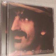 Frank Zappa - You Are What You Is