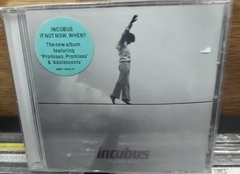 Incubus - If Not Now When