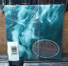 Soundgarden Screaming Life/Fopp - comprar online