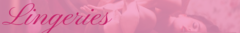 Banner da categoria Bodystocking