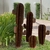 Cactus Cardón Norte en internet