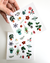 Stickers - Plancha Botánica