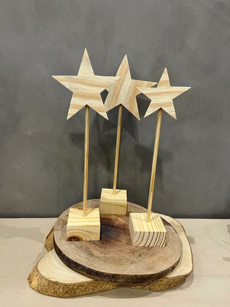 Estrela de Natal - Comprar em Ellen Flores