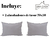 Combo 2 almohadones Tusor 70x50 con cierres Elefante - comprar online