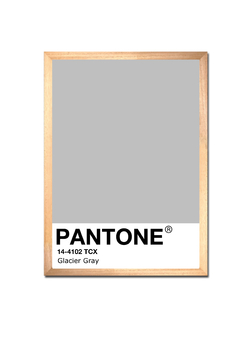 Pantone gris