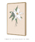 Quadro Decorativo Flor Branca - loja online