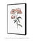 Quadro Decorativo Três Flores Rosas - comprar online