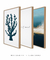 Quadros Decorativos Coral + Peace of Mind + Sea Storm - Mondessin | Quadros Decorativos