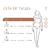 Falda Alice- Verde - DEAR CLASS