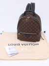 Mochila Louis Vuitton Palm Springs MM - comprar online