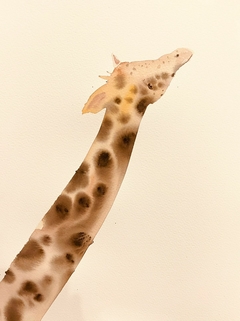 Girafa - safari - ABE STUDIO CRIATIVO