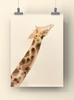 Girafa - safari