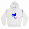 BUZO/CAMPERA FFR federacion rugby francia 02