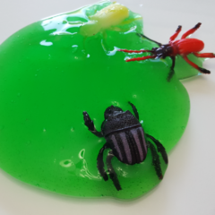 KIT SLIME BABA DE INSECTOS en internet