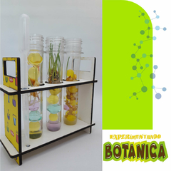 Imagen de Kit Experimentando con Botánica