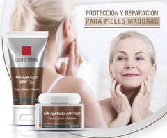 ANTI-AGE FACTOR NIGHT X 50 GRS en internet