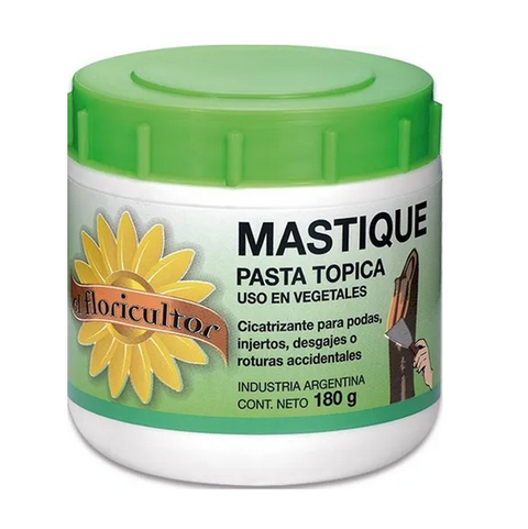 MASTIQUE PASTA