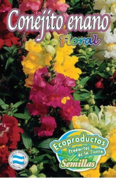 SEMILLA FLORAL CONEJITO ECOPRODUCTOS - comprar online