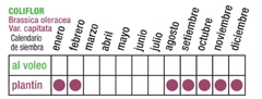 SEMILLA HORTALIZA COLIFLOR ECOPRODUCTOS en internet