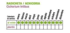 SEMILLA HORTALIZA RADICHETA ECOPRODUCTOS en internet