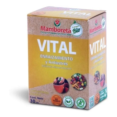 VITAL MAMBORETA - comprar online