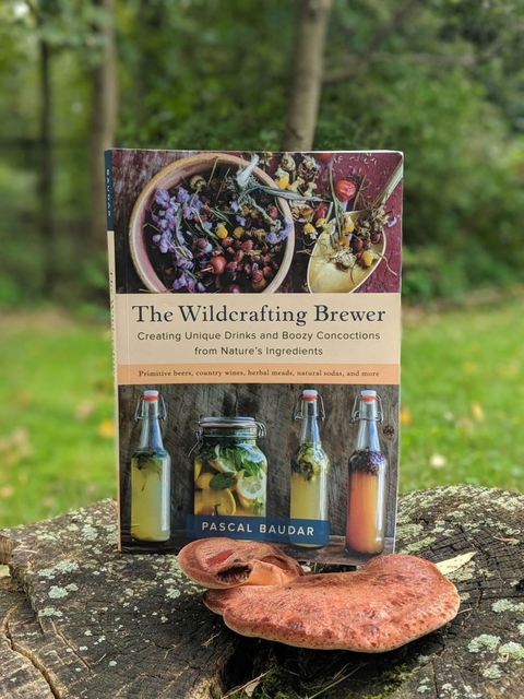 The Wildcrafting Brewer